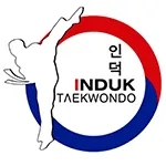 Induk Taekwondo